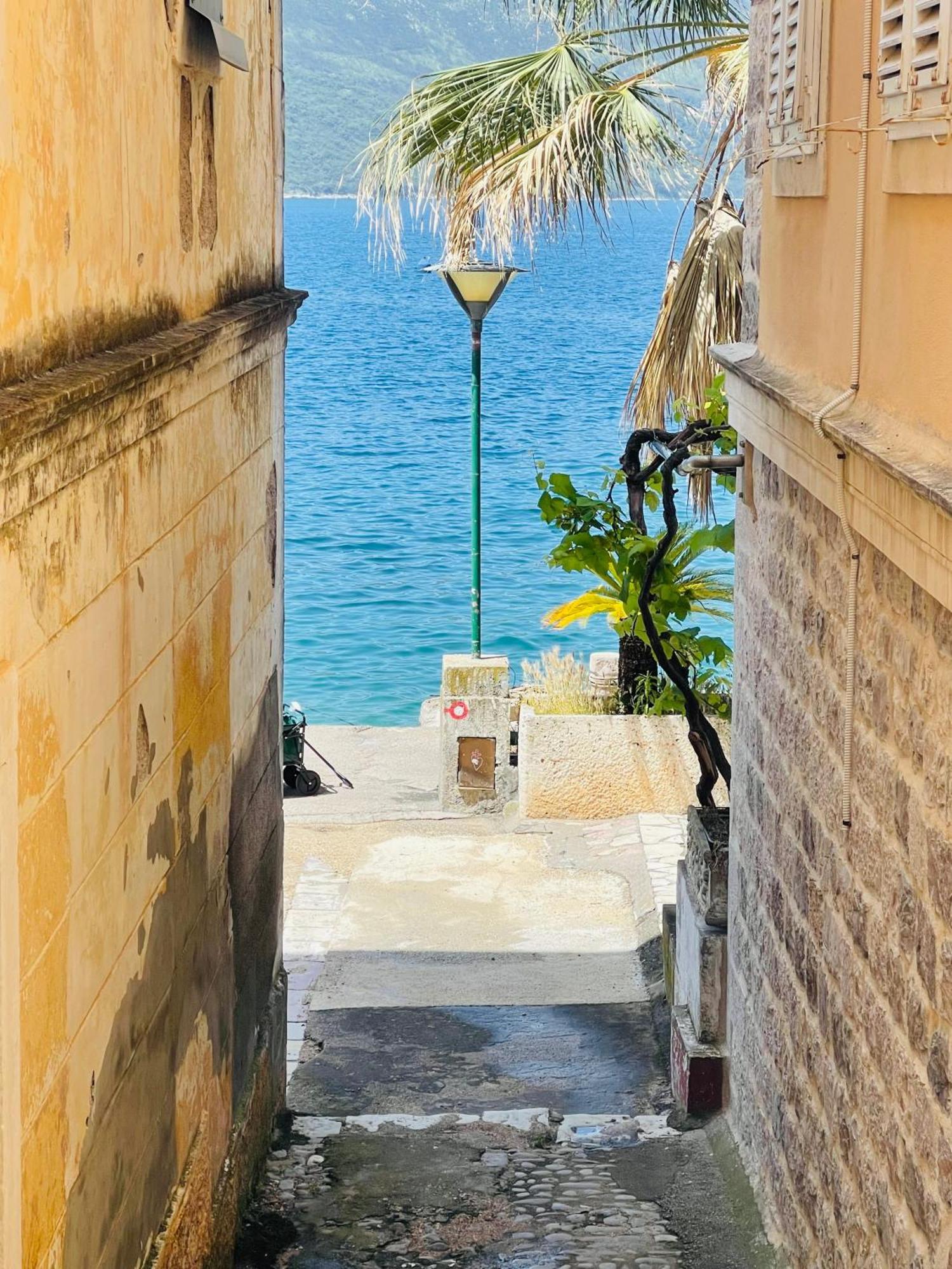 Apartamento Hearth Of Rose Herceg Novi Exterior foto